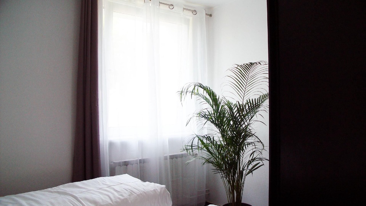 Photo of Bedroom in Lotte