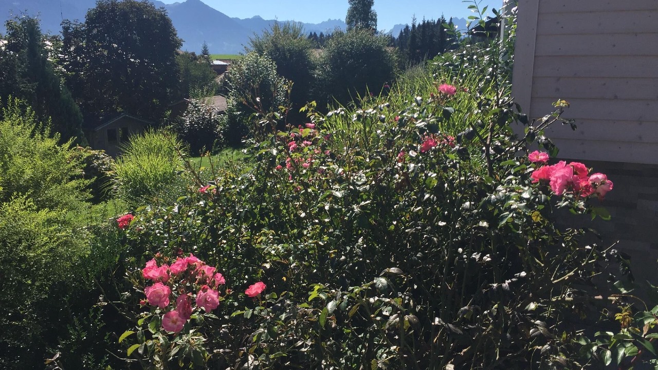 Photo of Outdoor in Ofterschwang