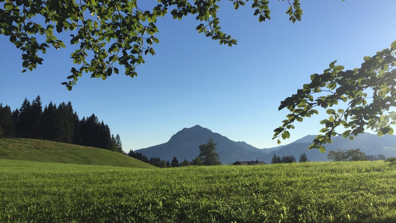 Photo of Others in Ofterschwang
