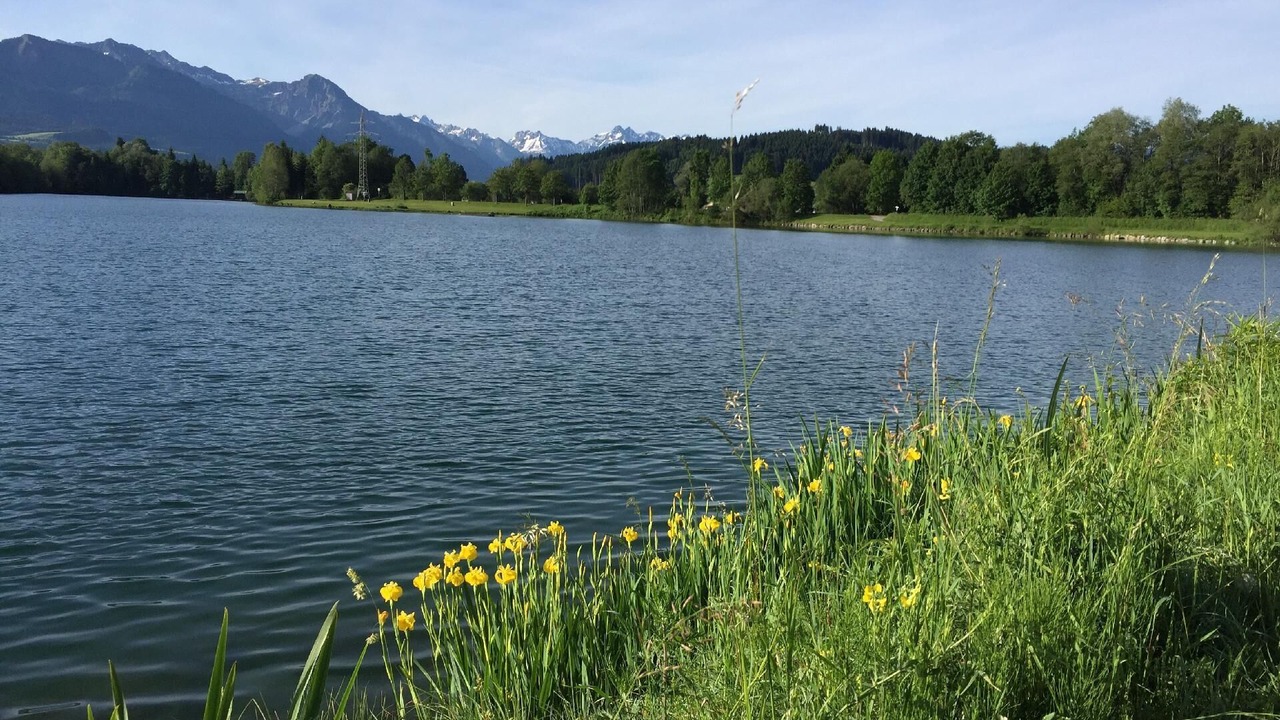 Photo of Others in Ofterschwang