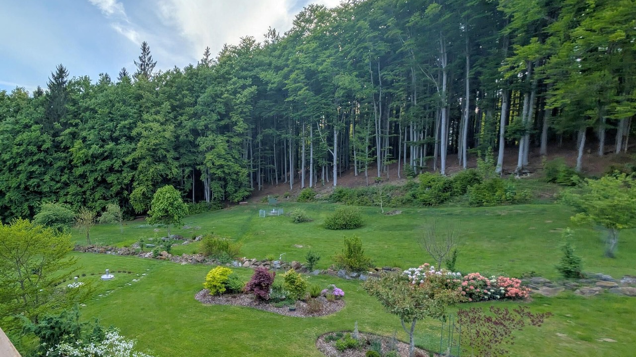 Photo of Outdoor in Spiegelau