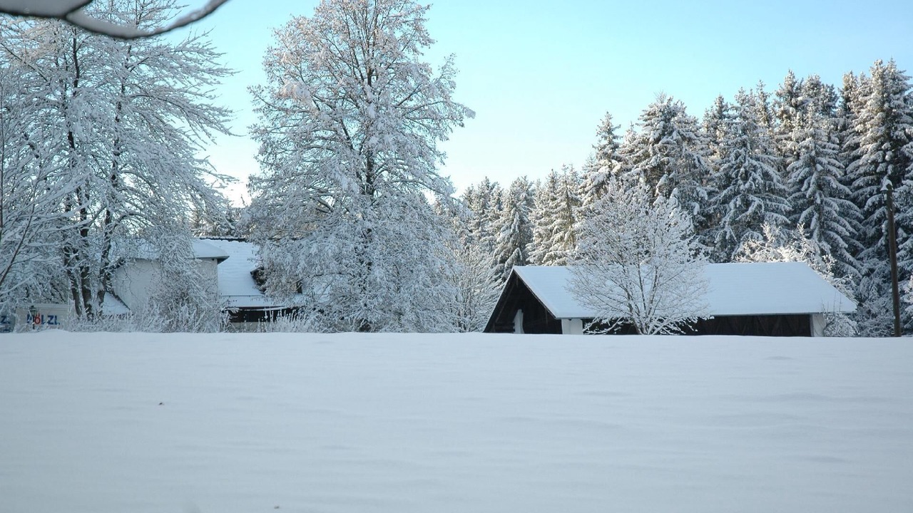 Photo of Outdoor in Schoellnach