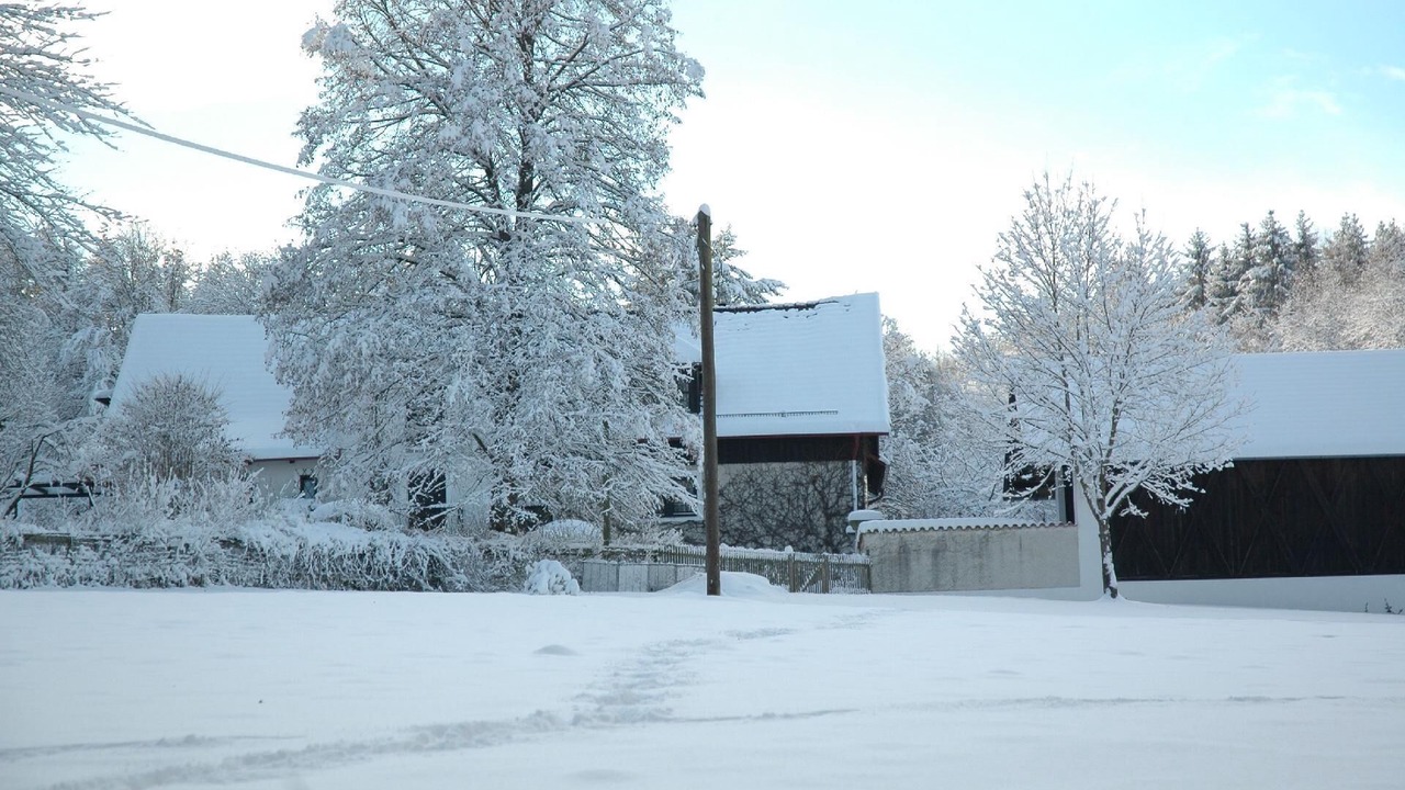 Photo of Outdoor in Schoellnach