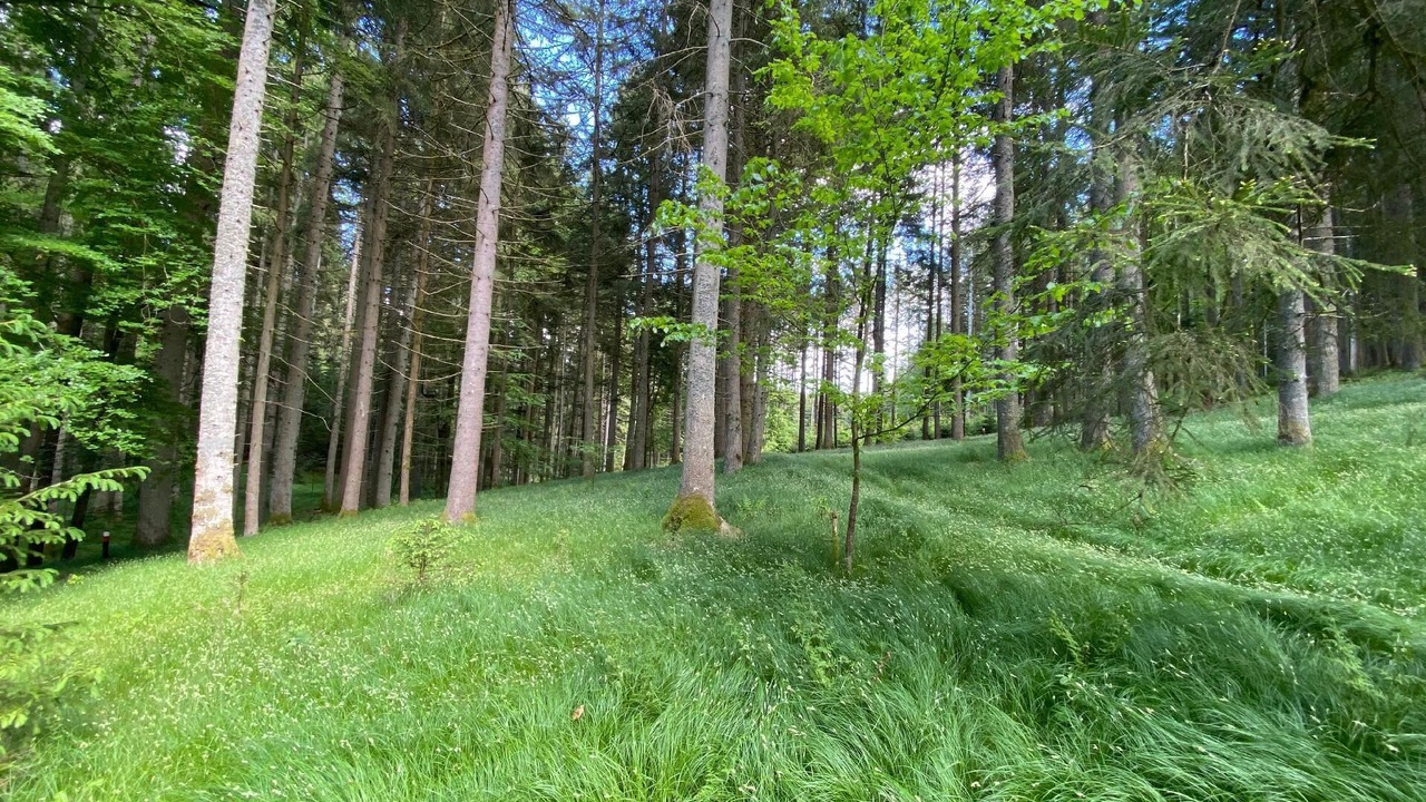 Photo of Outdoor in Untermitterdorf