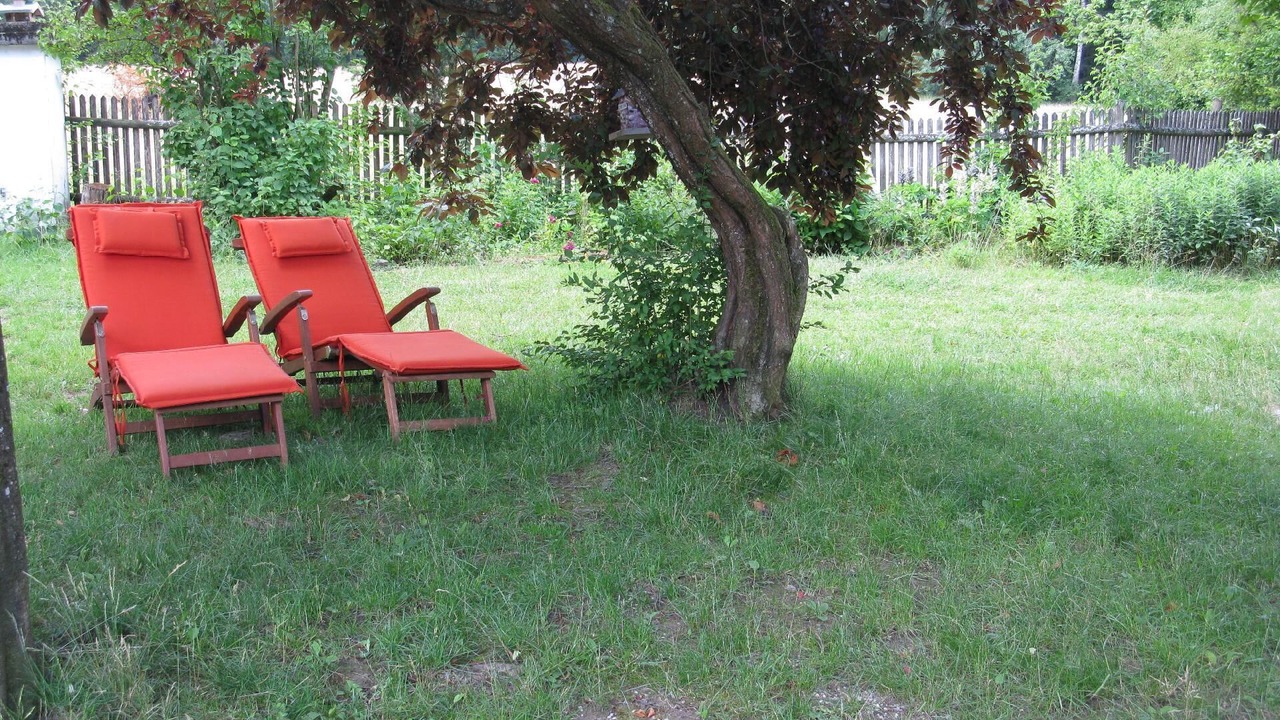 Photo of Outdoor in Schoellnach