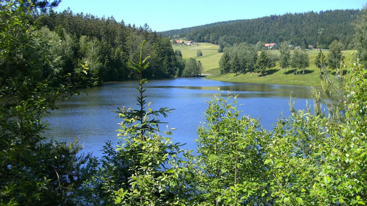Photo of Others in Neureichenau