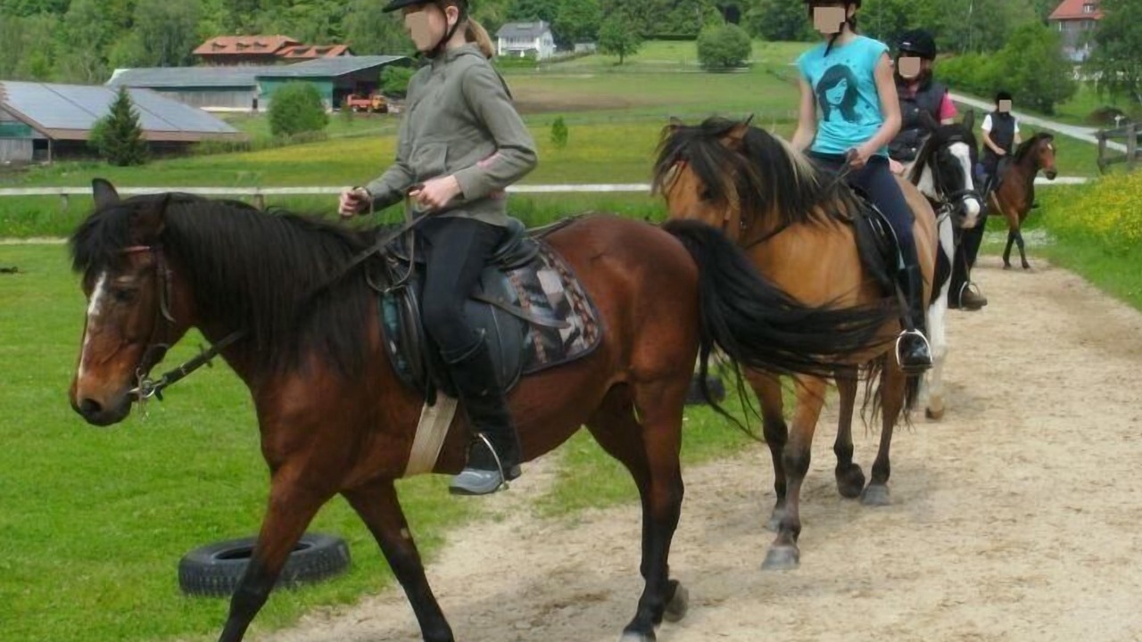 Photo of Others in Neureichenau