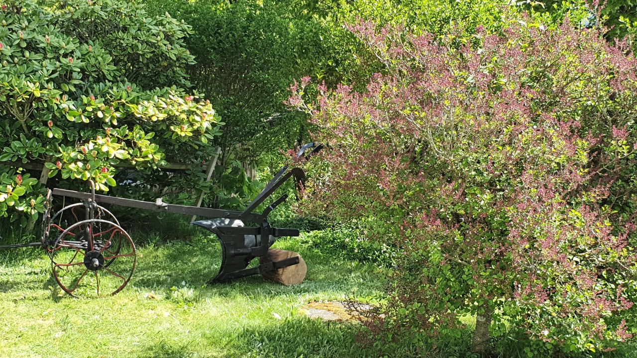 Photo of Outdoor in Wilhelmsthal
