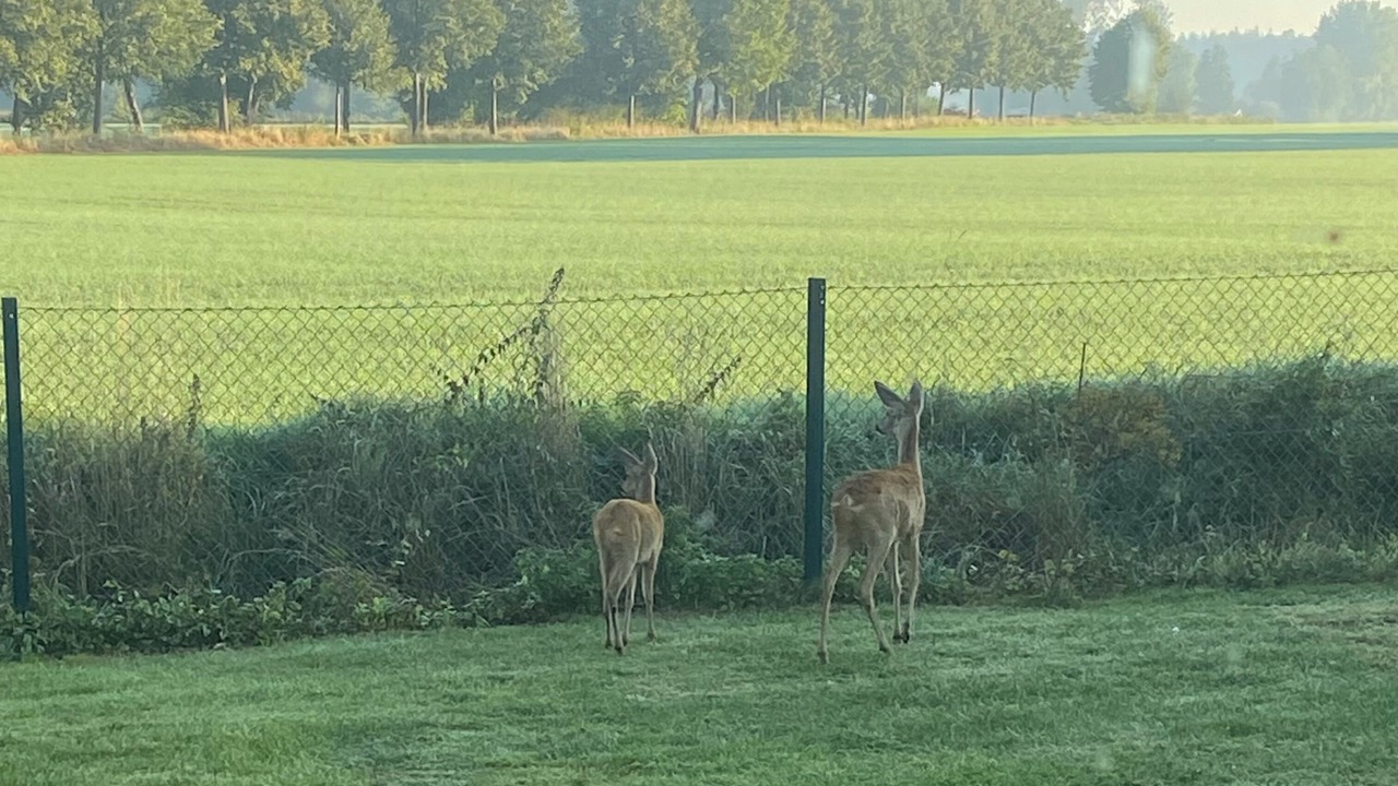 Photo of Others in Hulseburg