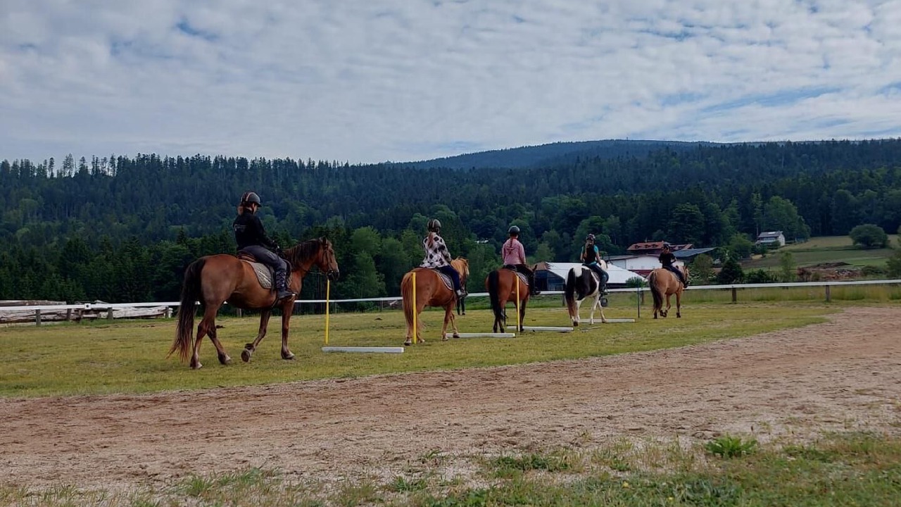 Photo of Others in Neureichenau