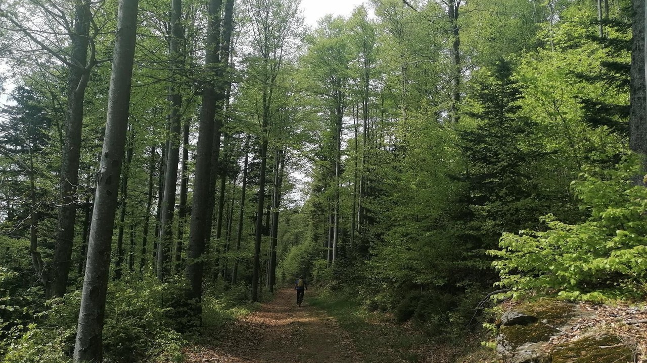 Photo of Outdoor in Arnbruck