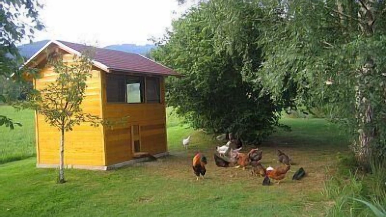 Photo of Outdoor in Arnbruck