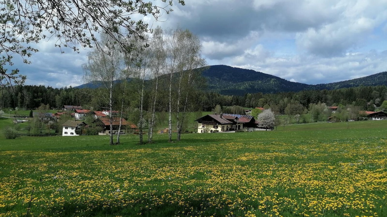 Photo of Outdoor in Arnbruck