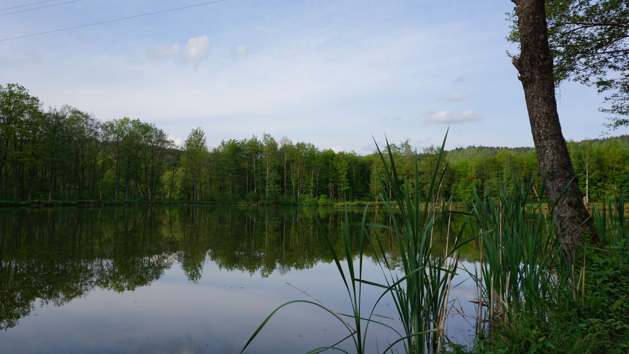 Photo of Outdoor in Weidenberg