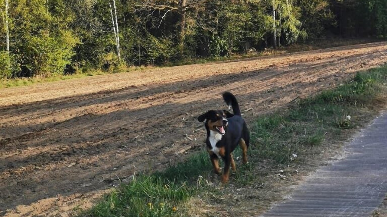 Photo of Others in Bobrach