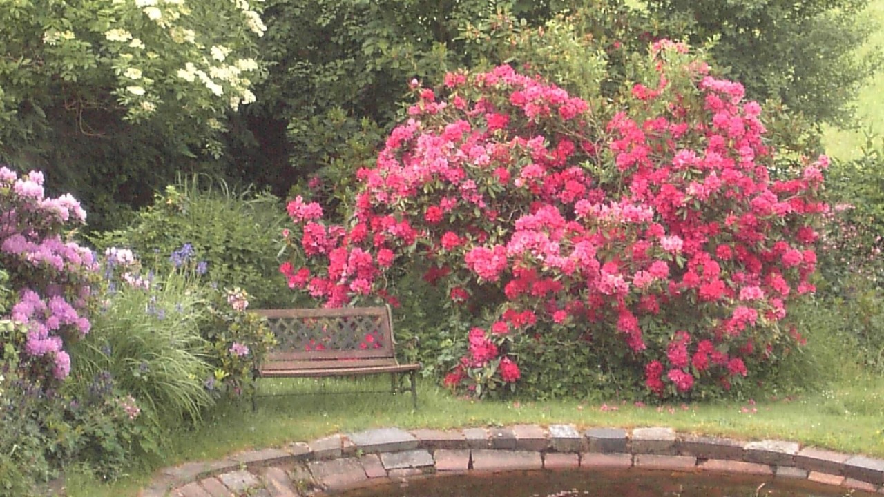 Photo of Outdoor in Obernsees