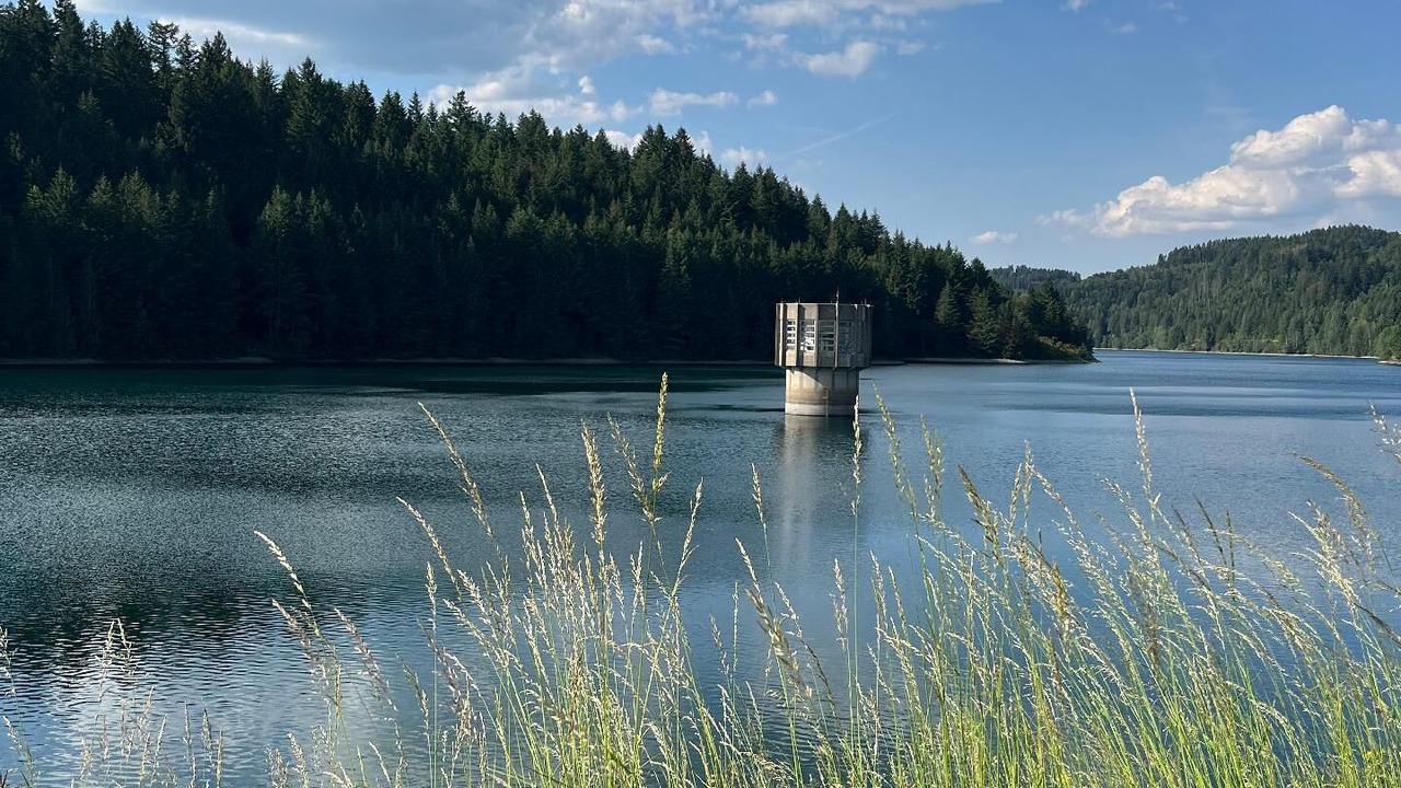 Photo of Others in Steinwiesen