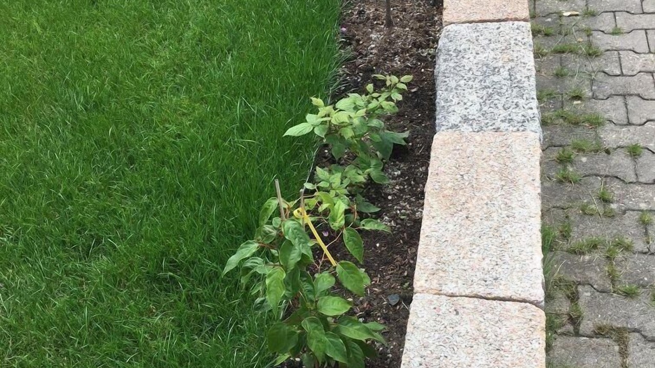 Photo of Outdoor in Pinzberg