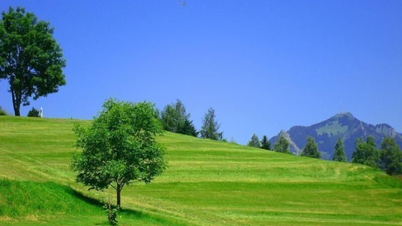Photo of Outdoor in Ofterschwang