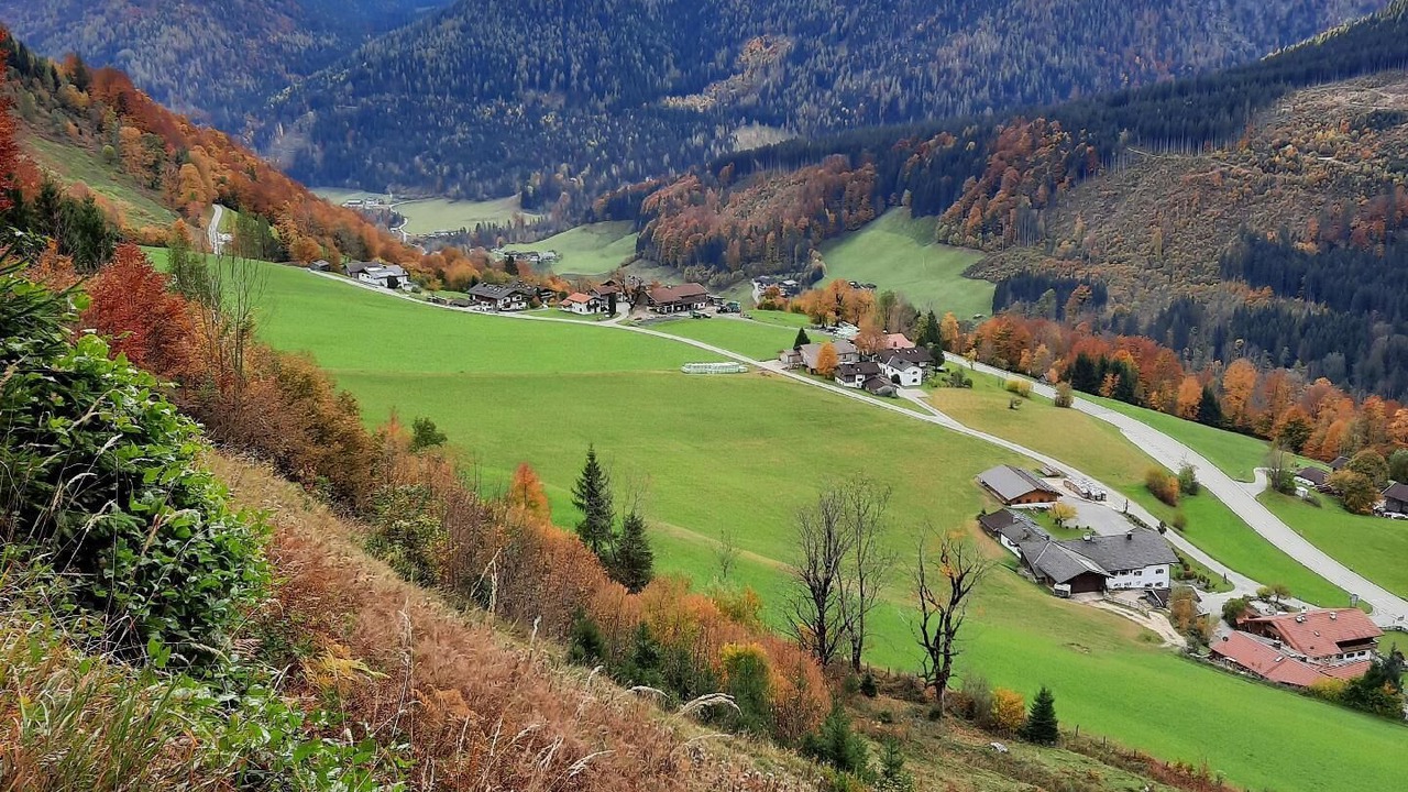 Photo of Others in Pidingerau