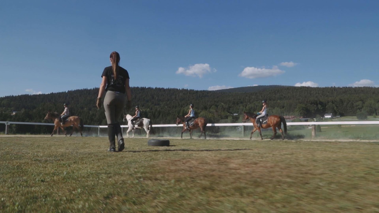 Photo of Others in Neureichenau
