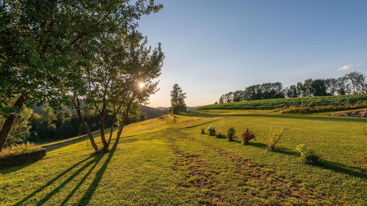Photo of Outdoor in Breitenberg