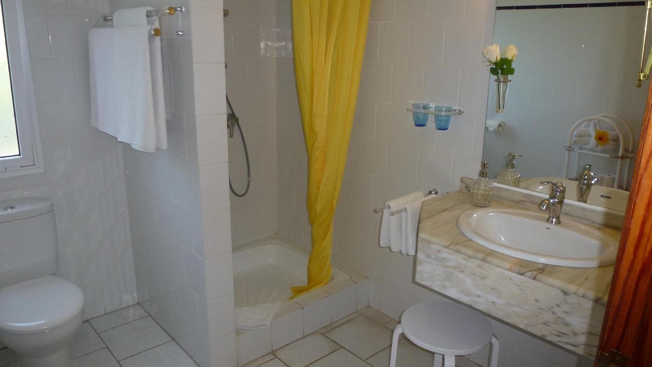 Photo of Bathroom in Puerto de la Cruz