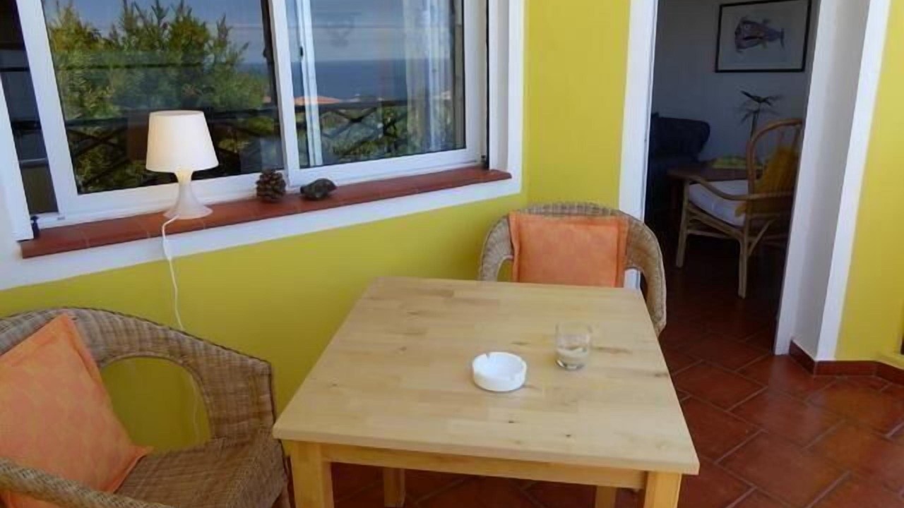 Photo of Others in Puerto de la Cruz