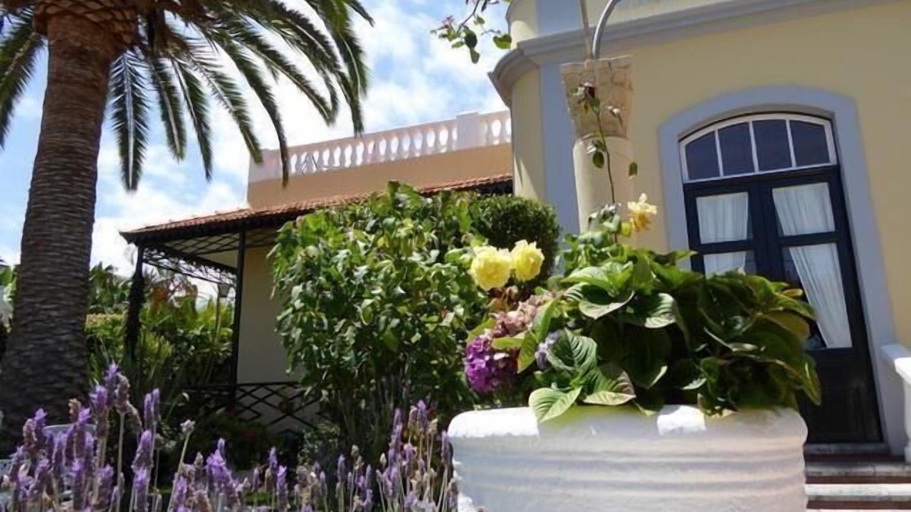 Photo of Outdoor in Puerto de la Cruz
