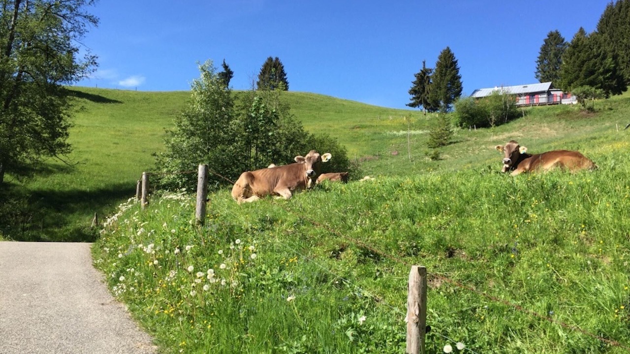 Photo of Outdoor in Oberstaufen