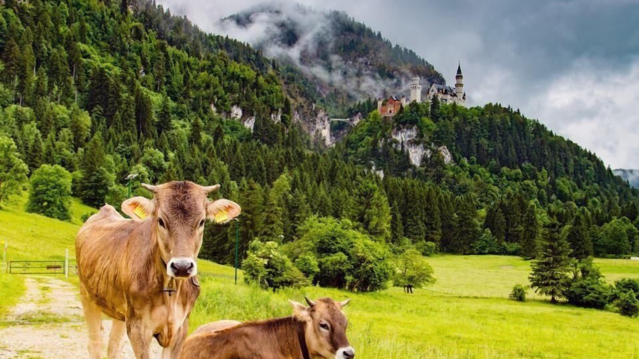 Photo of Others in Oberstaufen