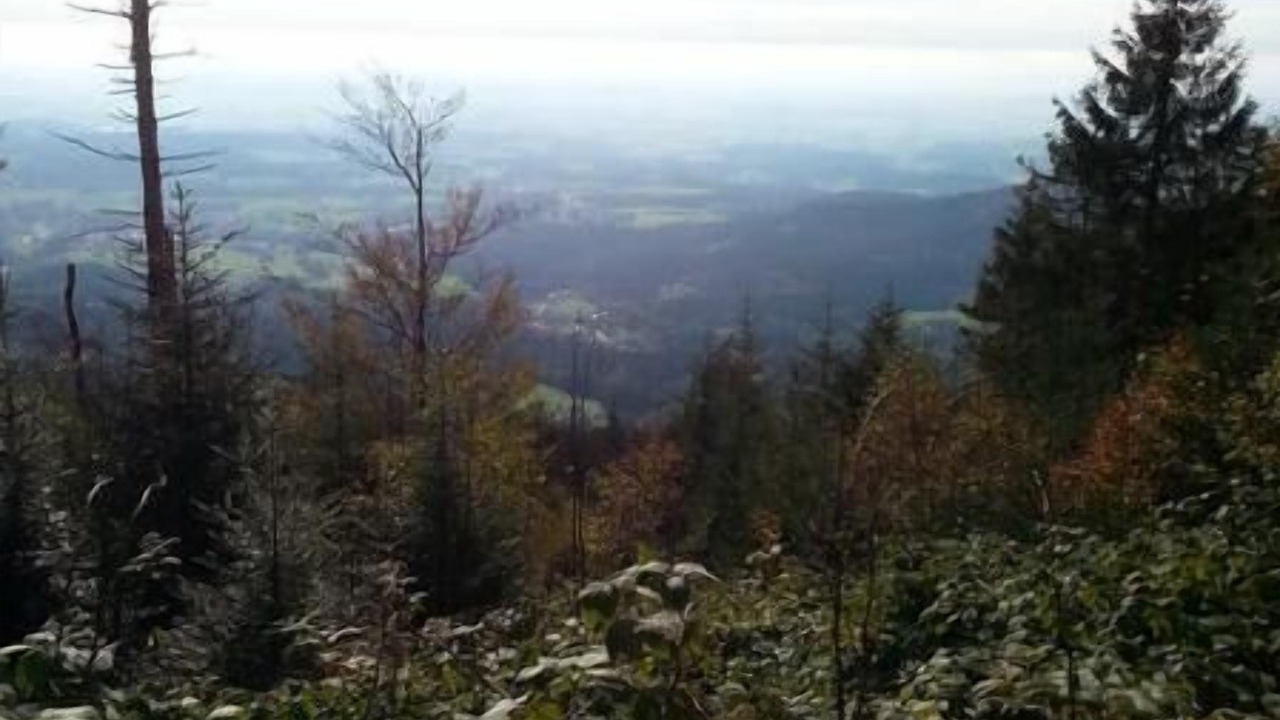 Photo of Others in Klingenbrunn
