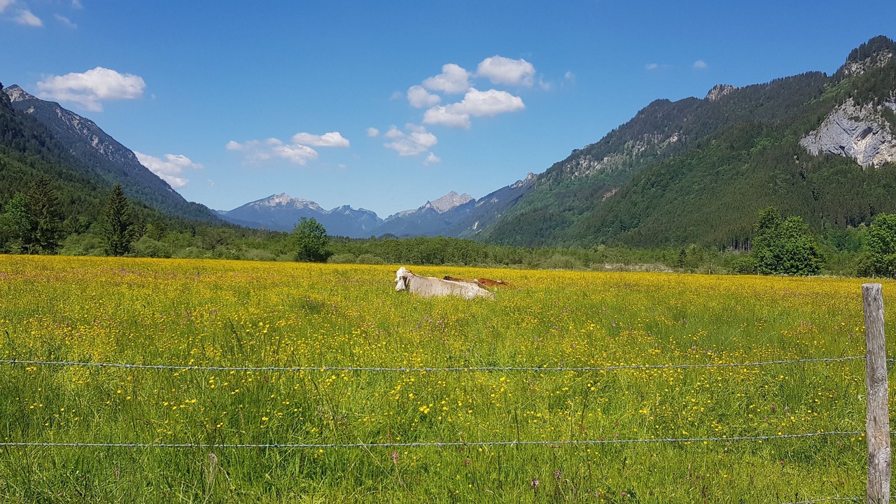 Photo of Outdoor in Ettal