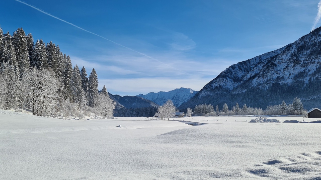 Photo of Others in Ettal