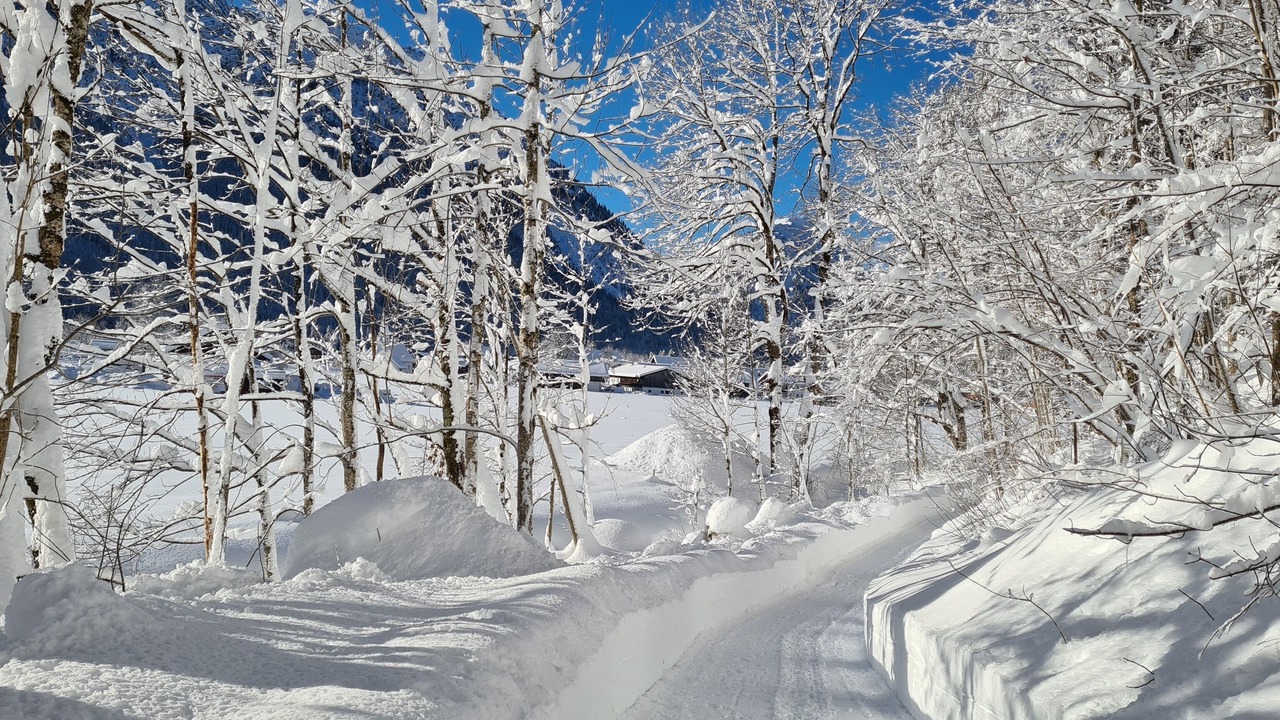 Photo of Others in Ettal