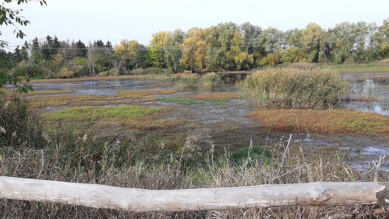 Photo of Outdoor in Viereth