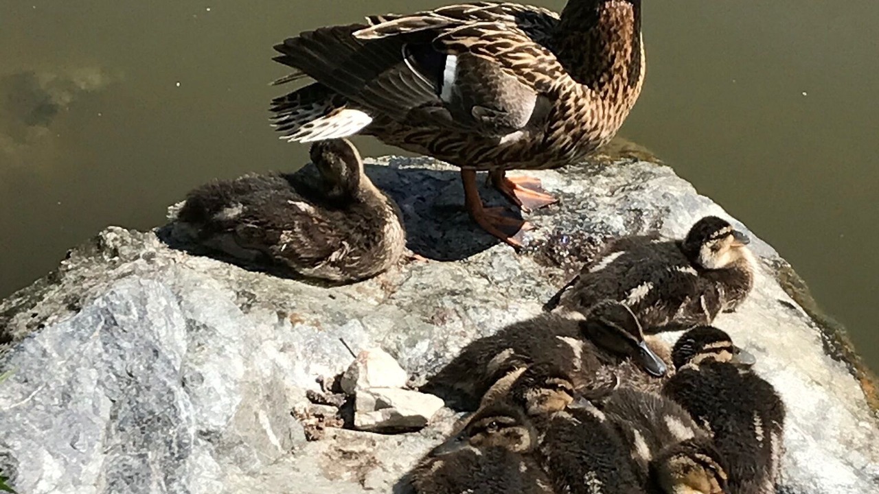 Photo of Others in Bayreuth