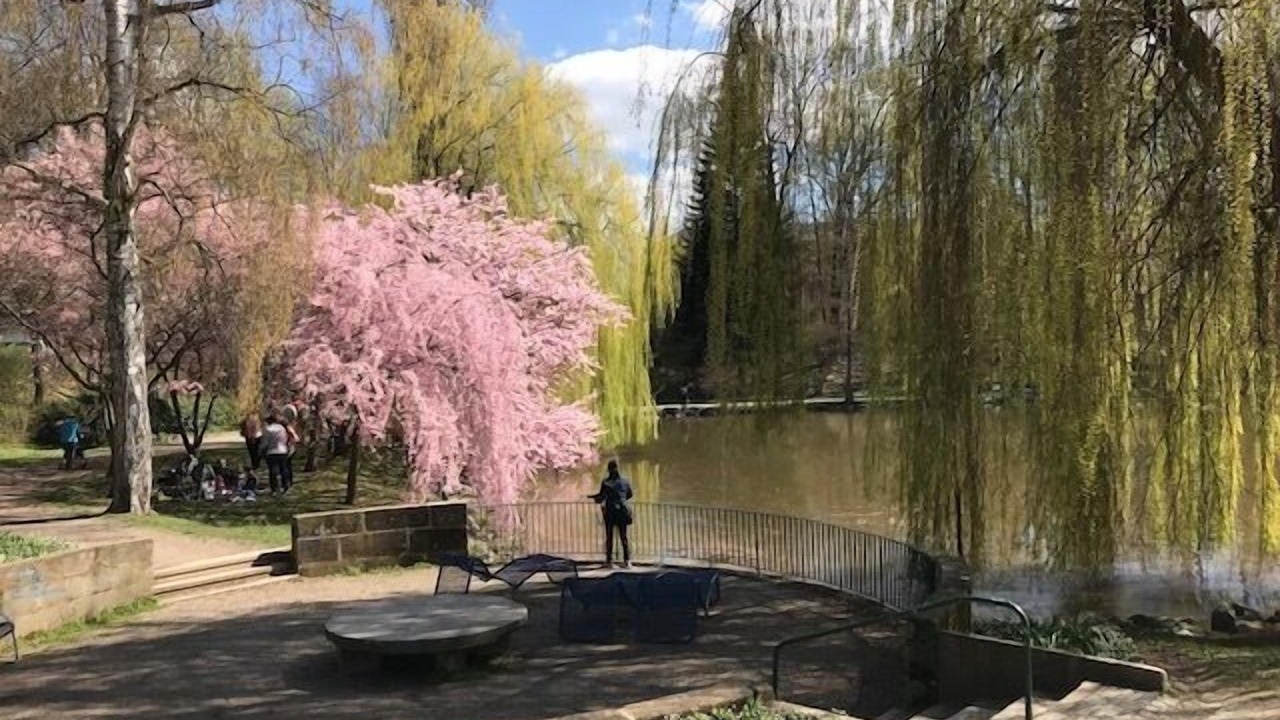 Photo of Outdoor in Bayreuth