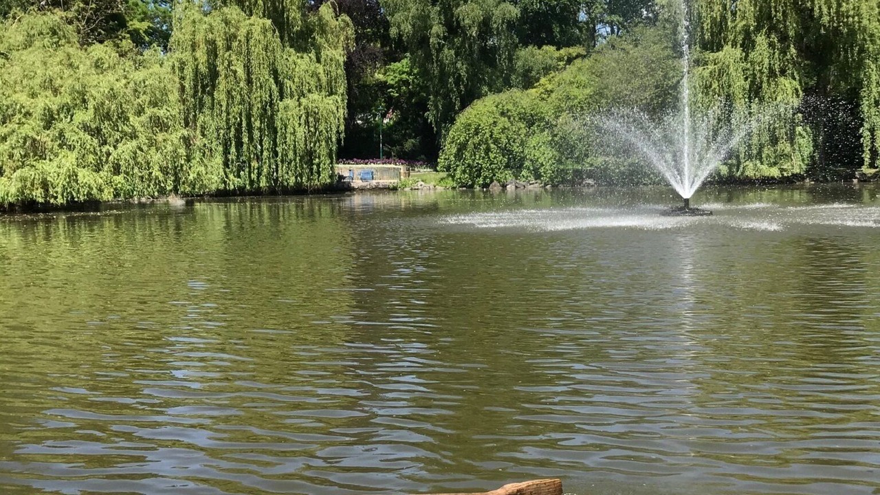 Photo of Outdoor in Bayreuth
