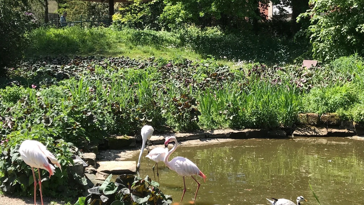 Photo of Outdoor in Bayreuth