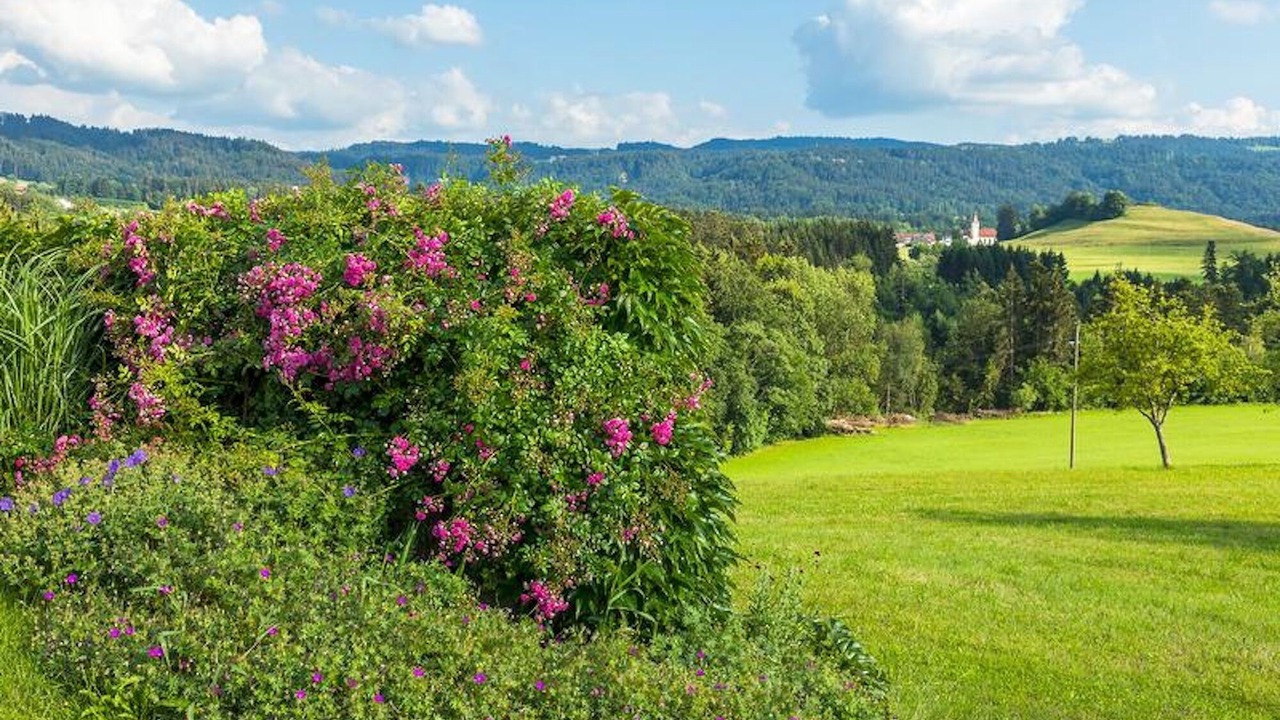 Photo of Outdoor in Hergensweiler