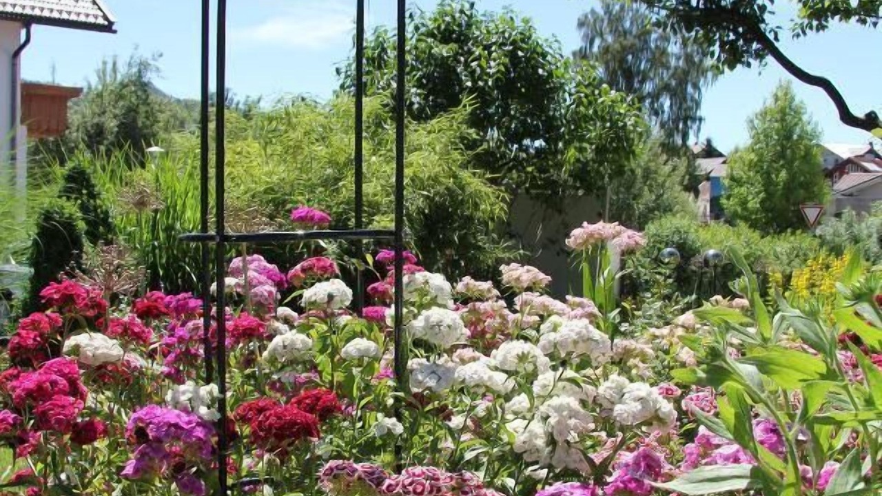 Photo of Outdoor in Bodenmais