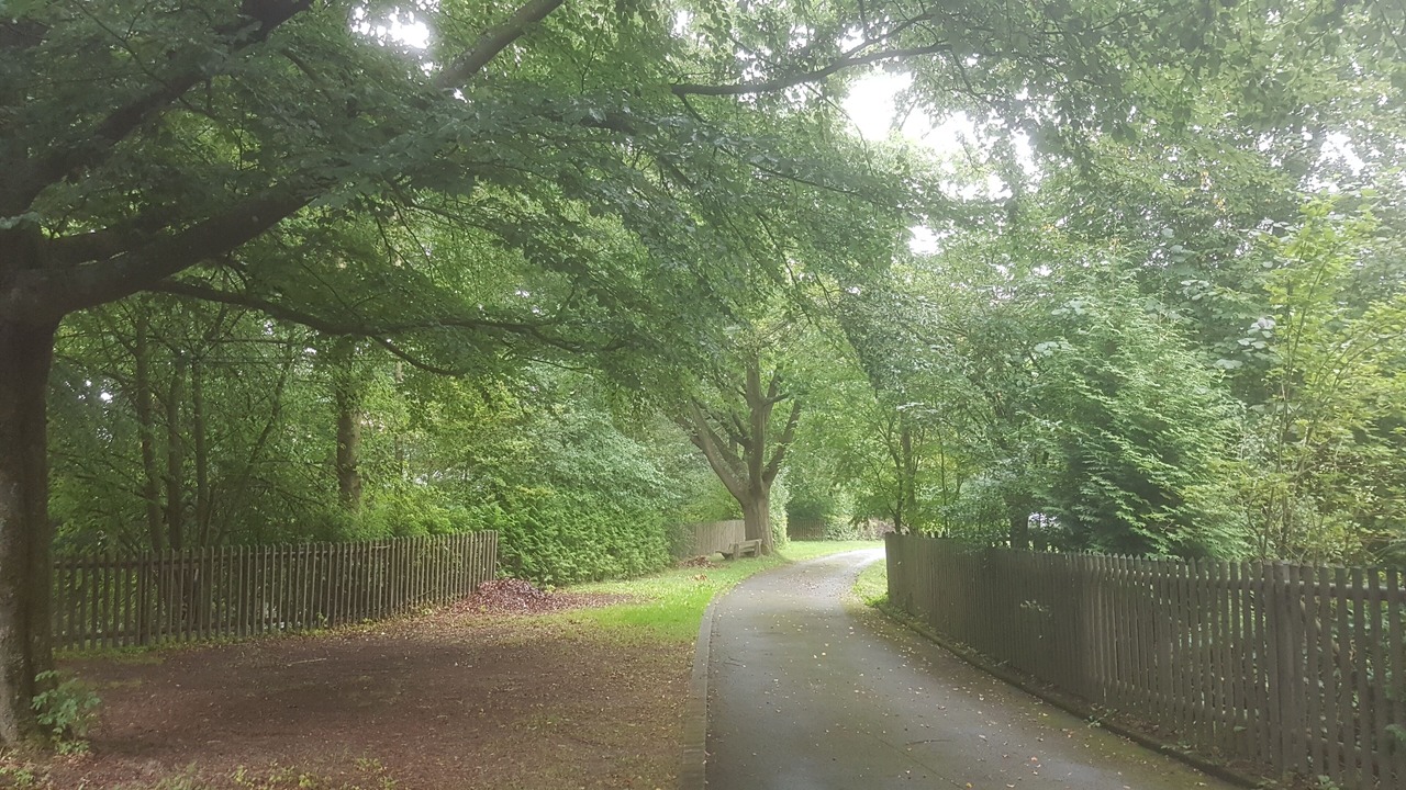 Photo of Outdoor in Meschede
