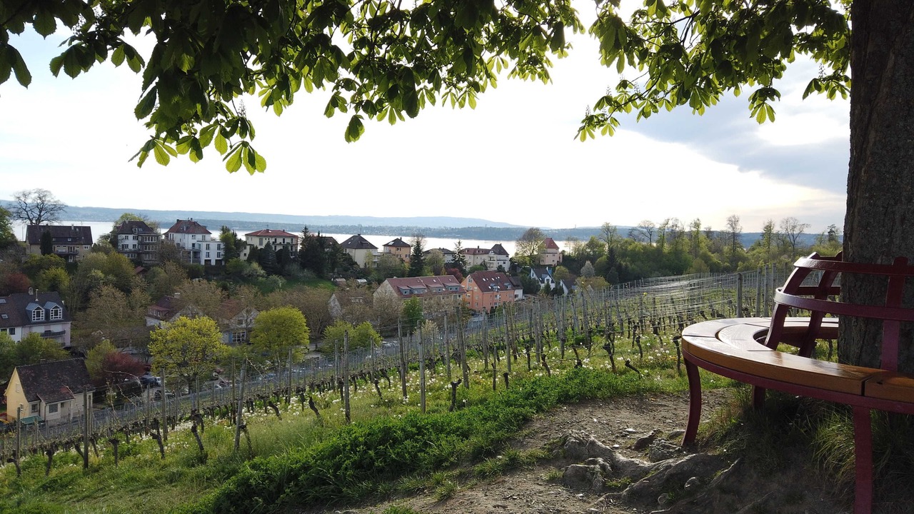 Photo of Others in Meersburg