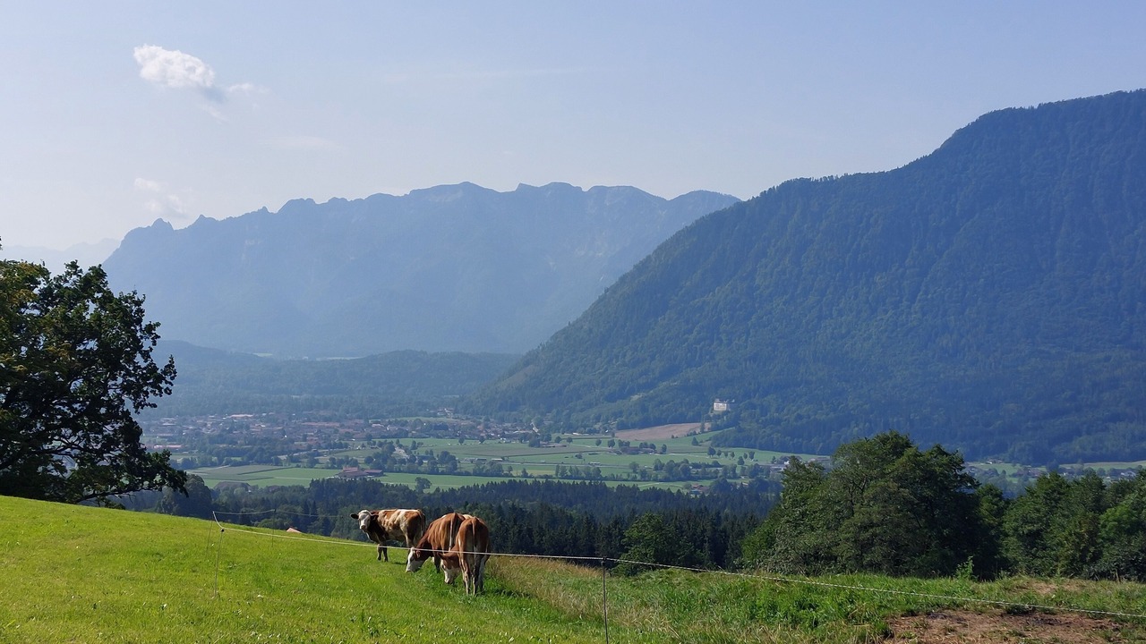 Photo of Others in Kleinhogl