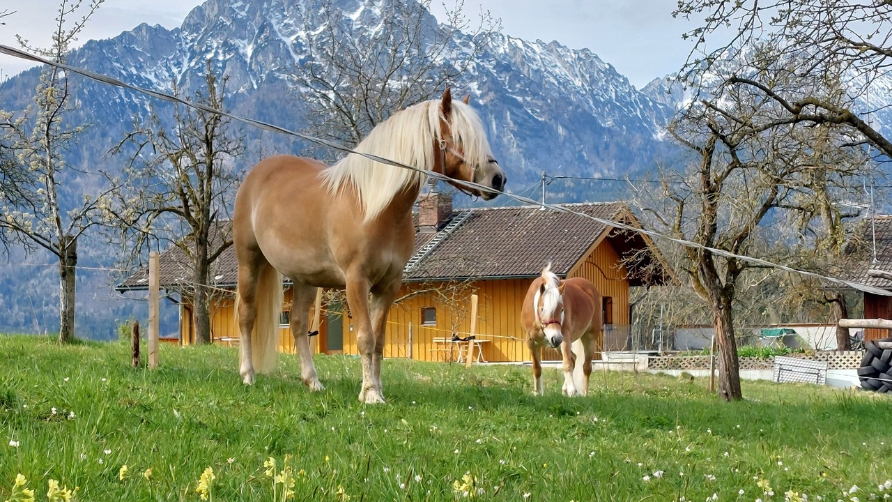 Photo of Others in Kleinhogl