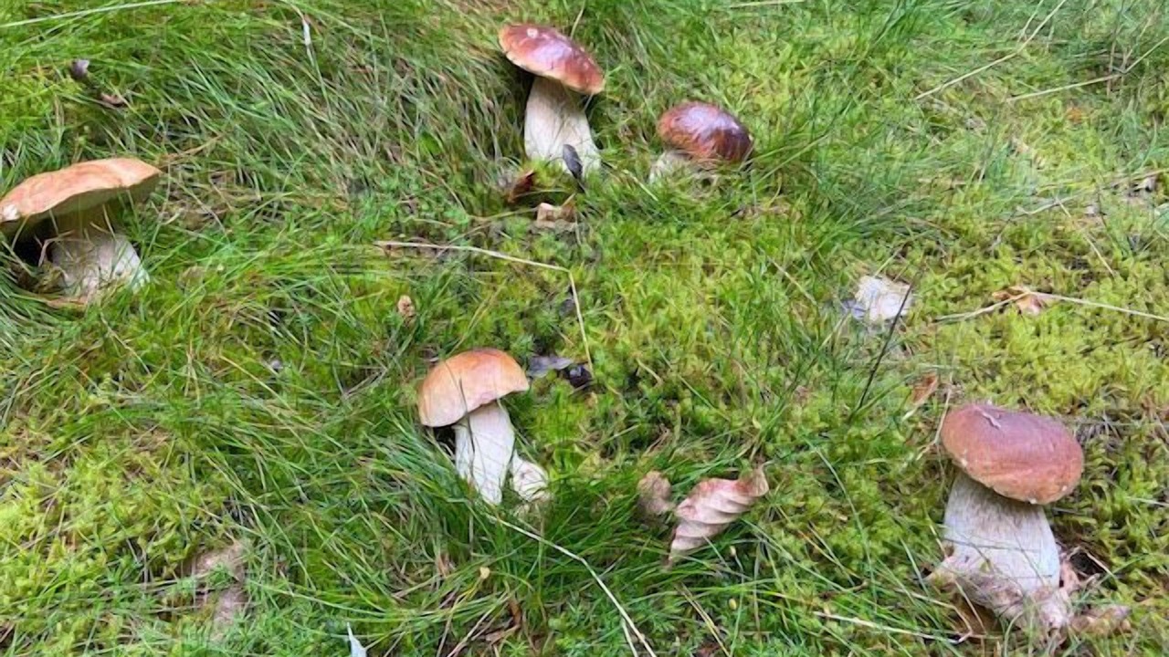 Photo of Outdoor in Nordhalben