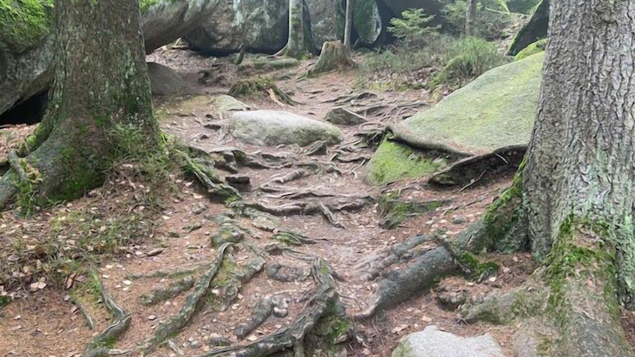 Photo of Outdoor in Nordhalben