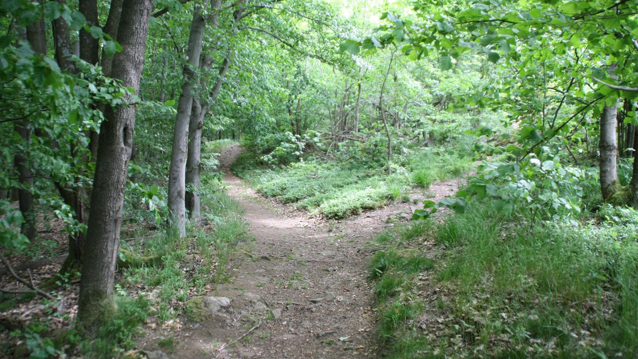Photo of Outdoor in Nordhalben