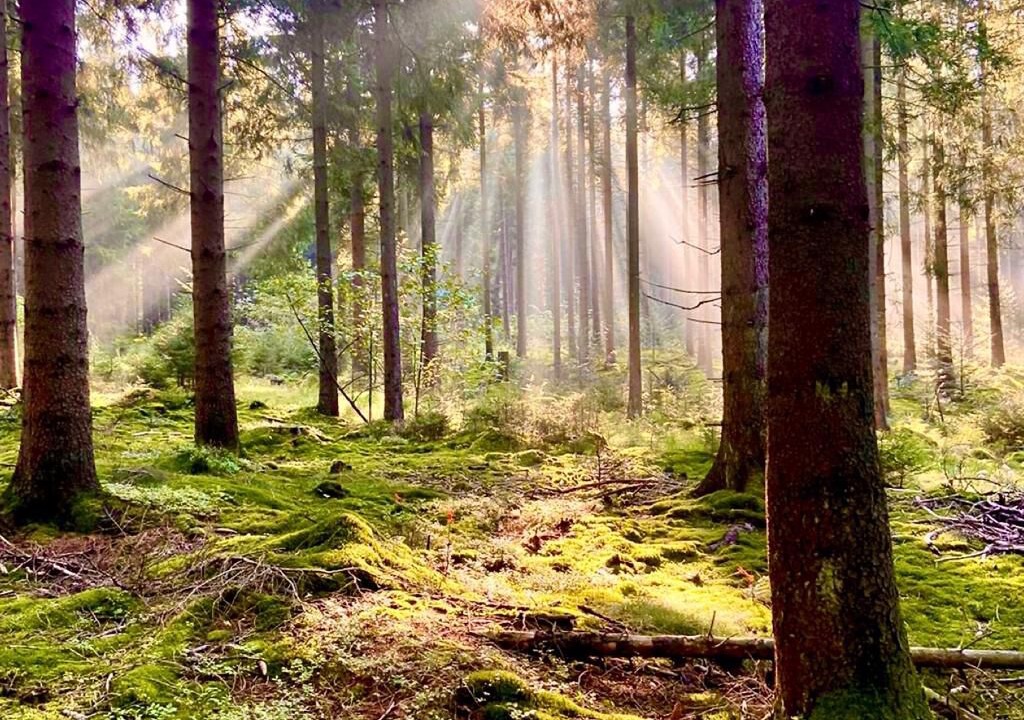 Photo of Outdoor in Nordhalben